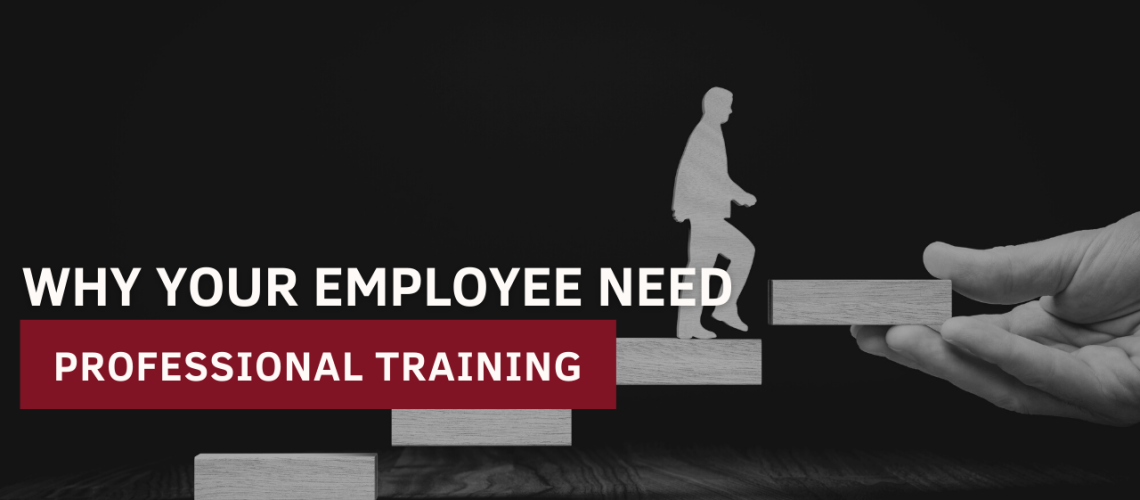 Why Your employee Need Professional Training